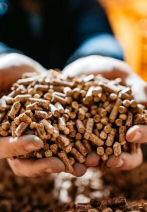 xr:d:DAF65r_L6iE:4,j:481175864288948196,t:24012514